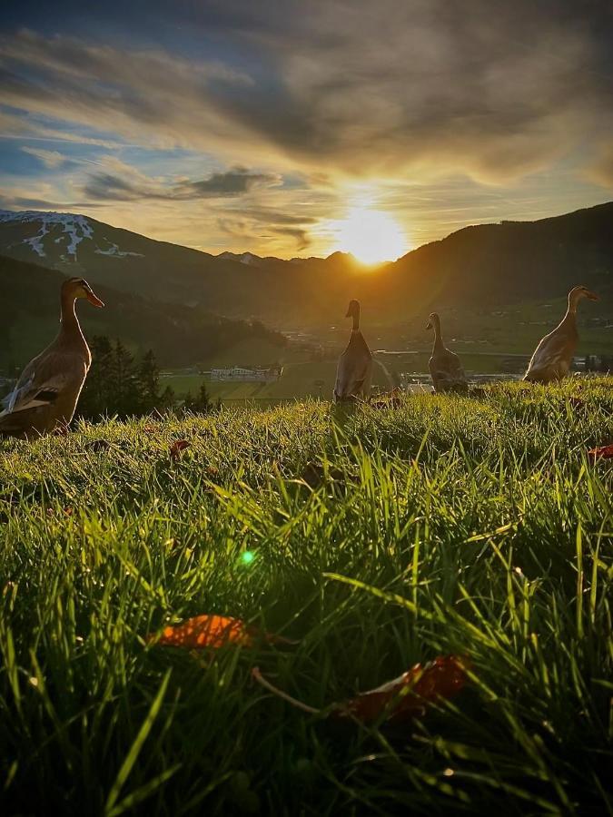 Apartmán Heissgut Altenmarkt im Pongau Exteriér fotografie